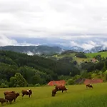 Schornhof