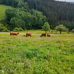 Schornhof * Oberwolfach