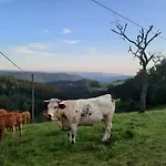 Апартаменты Schornhof *