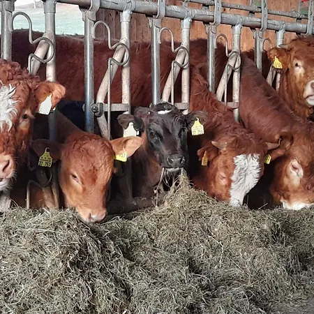 Schornhof Lägenhet *