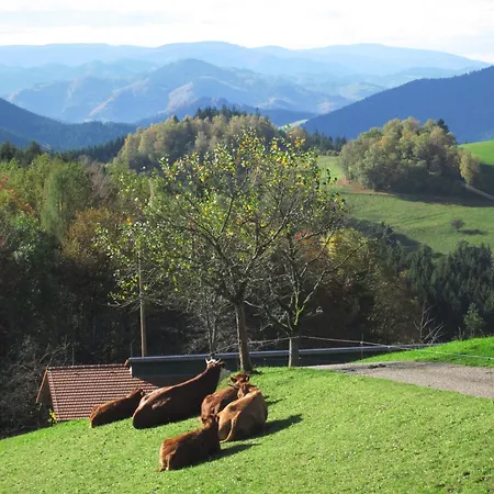Schornhof * Oberwolfach