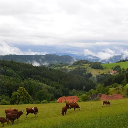 Schornhof Oberwolfach