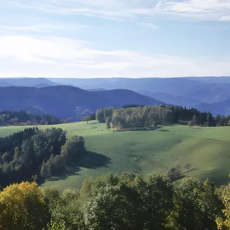 Schornhof * Oberwolfach