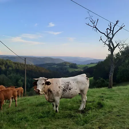 Lägenhet Schornhof *
